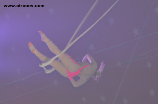 http://circoev.com/yahoo_site_admin/assets/images/1520648_749237498492172_1917741444946956445_n.351160146_std.png