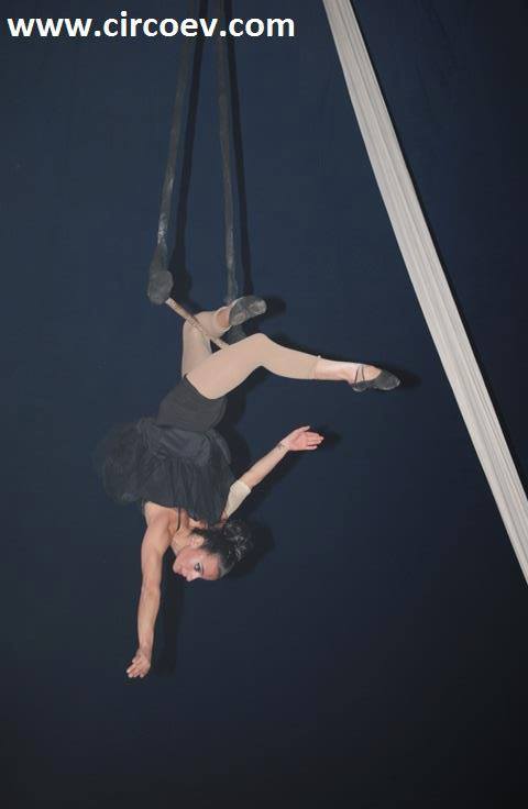 http://circoev.com/yahoo_site_admin/assets/images/10154320_618736398208950_782342501_n.86170813_std.jpg
