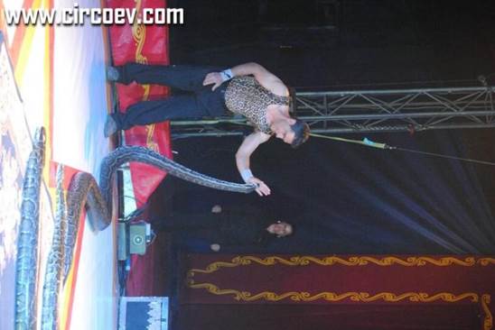 http://circoev.com/yahoo_site_admin/assets/images/DSC_0714.77122717_std.JPG