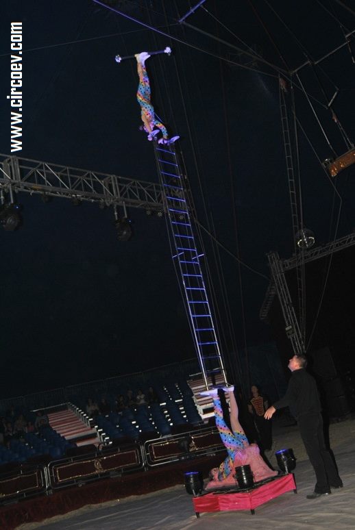 http://circoev.com/yahoo_site_admin/assets/images/1499514_566532006762723_1461692774_n.3195359_std.jpg