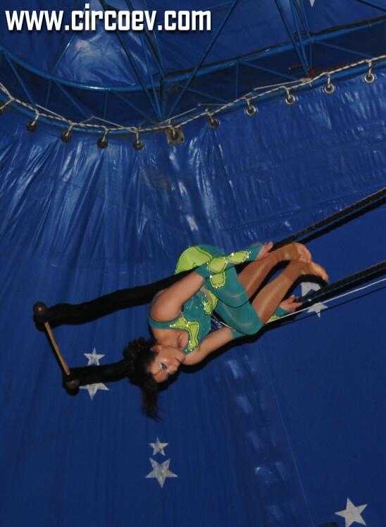 http://circoev.com/yahoo_site_admin/assets/images/DSC_0765.147145045_std.JPG