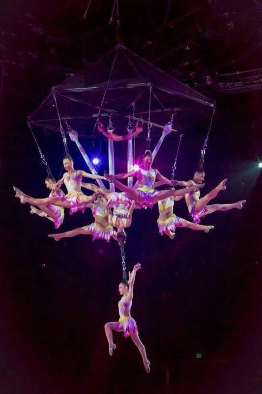 http://circoev.com/yahoo_site_admin/assets/images/1907997_10201352246561956_159505829575965557_n.12483209_std.jpg