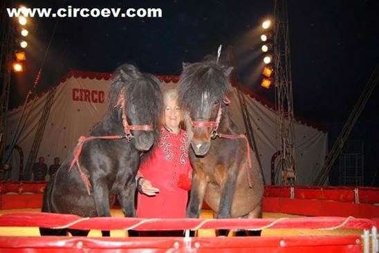 http://circoev.com/yahoo_site_admin/assets/images/11295930_826325064116748_8813075750322363225_n.136110946_std.jpg