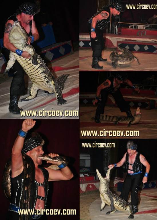http://circoev.com/yahoo_site_admin/assets/images/fff.13382642_std.JPG