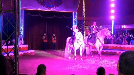 http://circoev.com/yahoo_site_admin/assets/images/11206017_10205061460953589_7289193087965142491_n.123133221_std.jpg