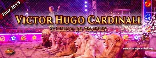 http://circoev.com/yahoo_site_admin/assets/images/11129912_966752583346843_2206565226717822521_n.105153935_std.jpg
