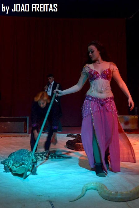 http://circoev.com/yahoo_site_admin/assets/images/11145986_995475003798912_1263847779_n.103142919_std.jpg