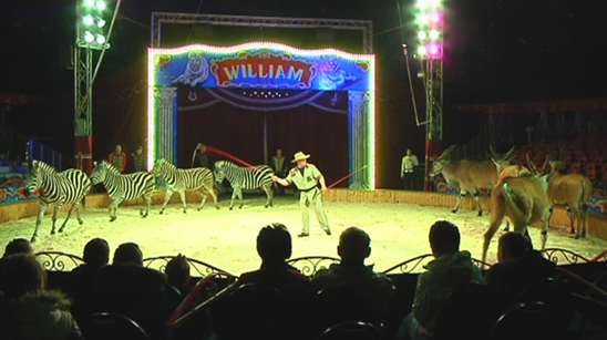 http://circoev.com/yahoo_site_admin/assets/images/ppppp.97101313_std.png