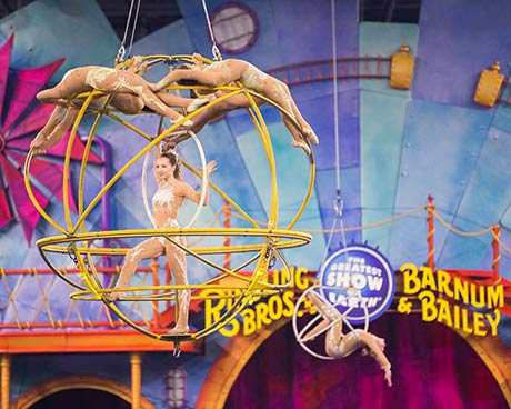 http://circoev.com/yahoo_site_admin/assets/images/arts-Orb-Act.9134703_std.jpg