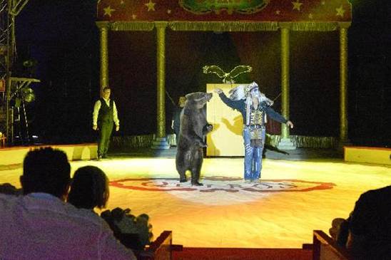 http://circoev.com/yahoo_site_admin/assets/images/141084_89005_Uno-de-los-primeros-numeros-del-espectaculo-_G.234133413_std.jpg
