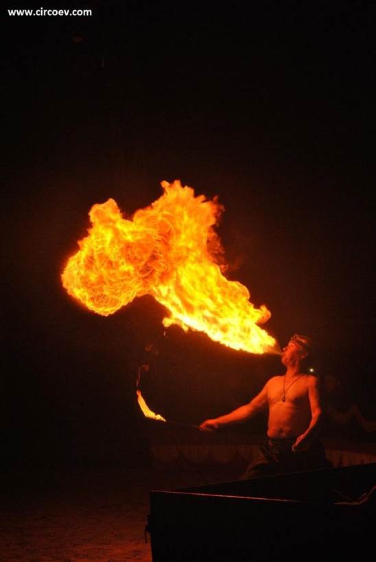 http://circoev.com/yahoo_site_admin/assets/images/DSC_0077.356103722_std.JPG