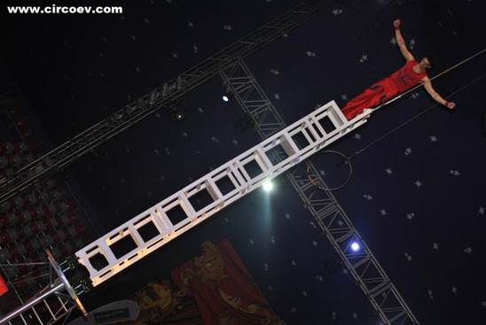 http://circoev.com/yahoo_site_admin/assets/images/DSC_0429.352101851_std.JPG