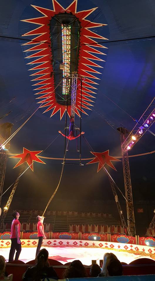 http://circoev.com/yahoo_site_admin/assets/images/10262174_766774053427787_6469616379037020061_n.350180304_std.jpg
