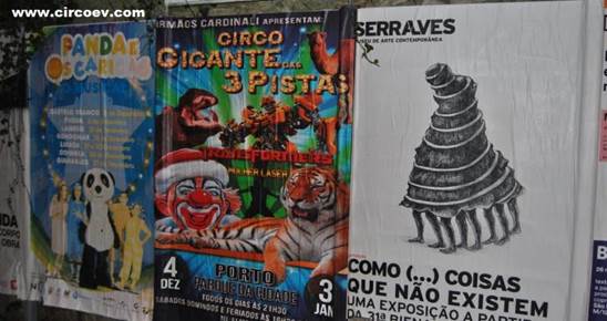 http://circoev.com/yahoo_site_admin/assets/images/DSC_0835.336161647_std.JPG