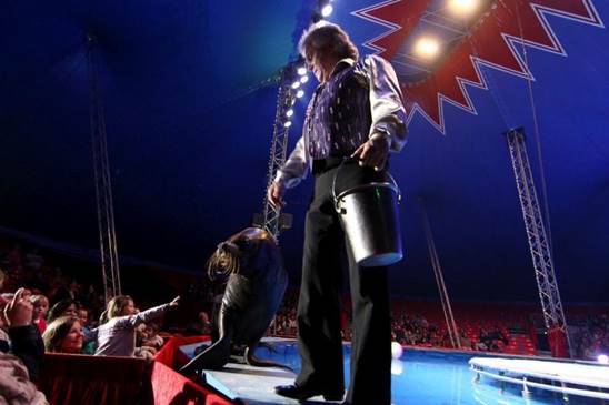 http://circoev.com/yahoo_site_admin/assets/images/le-grand-cirque-sur-l-eau_3331463_1200x800.31544754_std.jpg