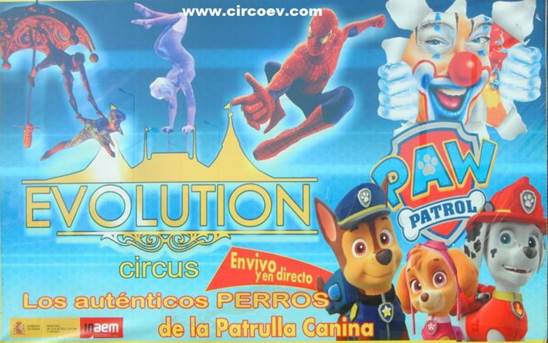 http://circoev.com/yahoo_site_admin/assets/images/DSC_0980b.21895247_std.JPG
