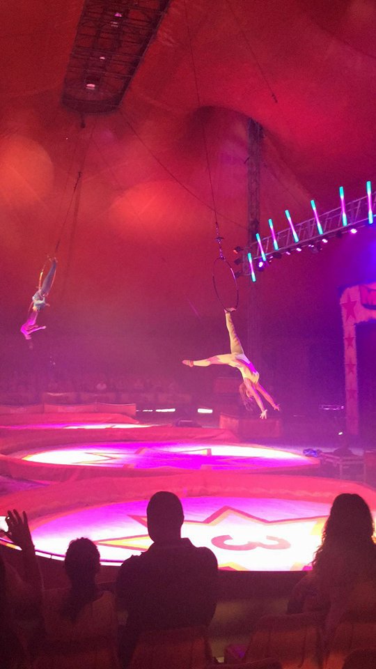 http://circoev.com/yahoo_site_admin/assets/images/13493031_1051772341578226_1441075582_n17853830_std.20450301_std.jpg