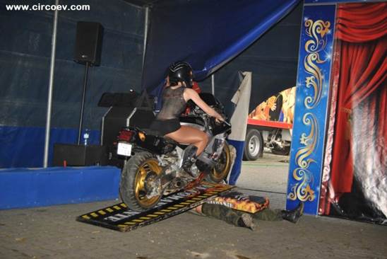 http://circoev.com/yahoo_site_admin/assets/images/DSC_0541.183102058_std.jpg