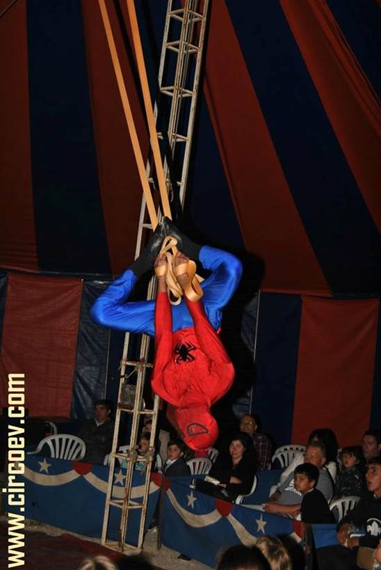 http://circoev.com/yahoo_site_admin/assets/images/13450702_1033086856773900_1210767455942831209_n.17372551_std.jpg