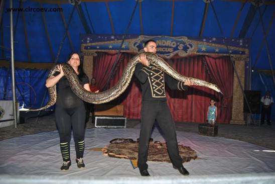 http://circoev.com/yahoo_site_admin/assets/images/DSC_0100.15445242_std.JPG