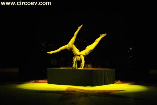 http://circoev.com/yahoo_site_admin/assets/images/15622405_1186118384804079_4078523088507908837_n.357142315_std.jpg