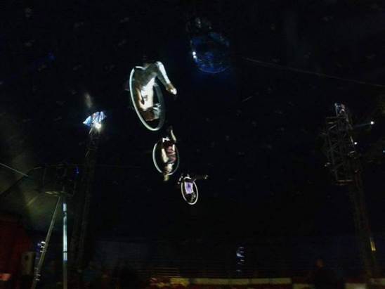 http://circoev.com/yahoo_site_admin/assets/images/15380276_1171048369644414_4522927099379047952_n.341154535_std.jpg