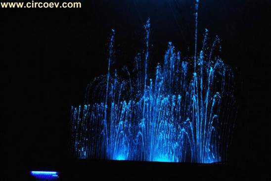 http://circoev.com/yahoo_site_admin/assets/images/DSC_0833.314162551_std.JPG