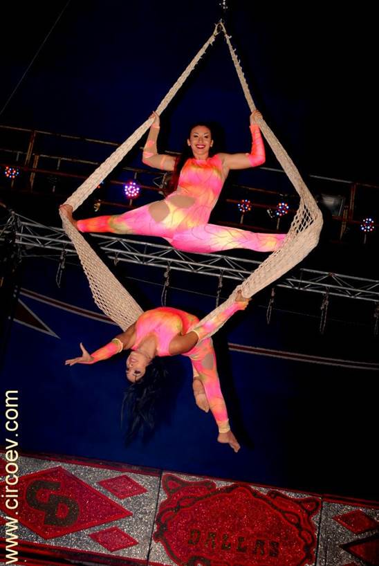http://circoev.com/yahoo_site_admin/assets/images/DSC_1031.314162352_std.JPG