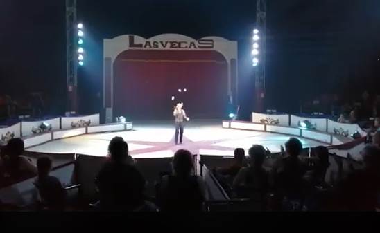 http://circoev.com/yahoo_site_admin/assets/images/65738981_2295166127232627_6695635130045693952_n.18250645_std.png