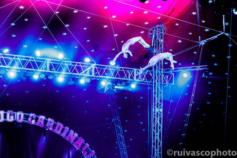 http://circoev.com/yahoo_site_admin/assets/images/19RV_111361.34140948_std.jpg
