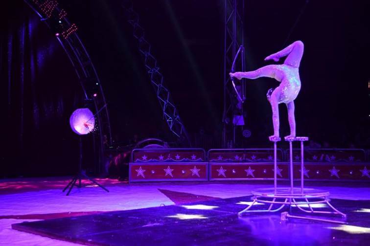 http://circoev.com/yahoo_site_admin/assets/images/78071533_2515208512089301_7346546812553003008_o.34141116_std.jpg