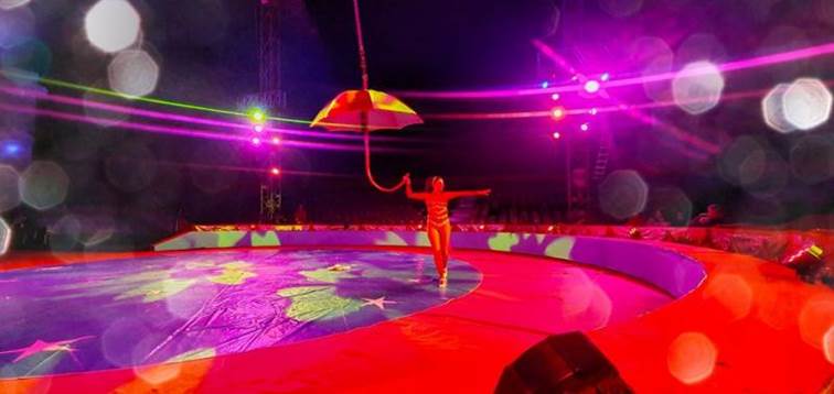 http://circoev.com/yahoo_site_admin/assets/images/79465607_2612509142164989_1884610737289035776_o.34461611_std.jpg