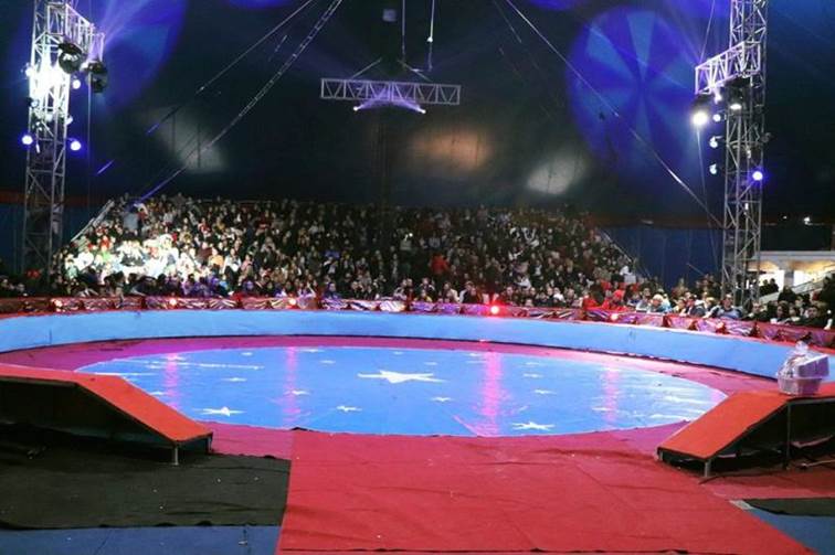 http://circoev.com/yahoo_site_admin/assets/images/79841297_2612437128838857_3438943974188908544_o.34461706_std.jpg