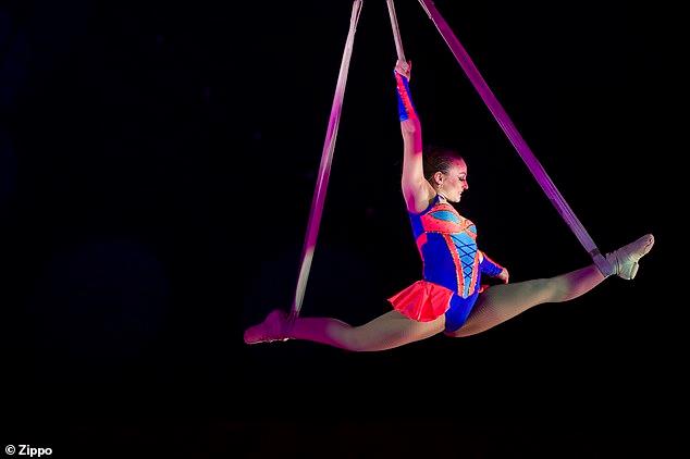 http://circoev.com/yahoo_site_admin/assets/images/78073872_1027806817551208_7094426279453130752_n.32975700_std.jpg
