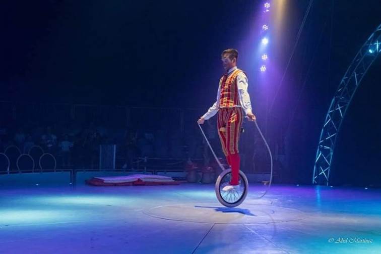 http://circoev.com/yahoo_site_admin/assets/images/72999151_2500021183413786_6894211607241424896_n.29324644_std.jpg