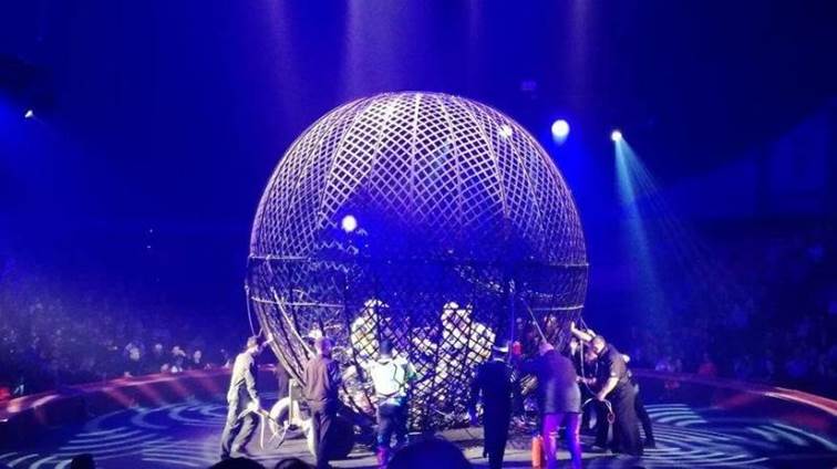http://circoev.com/yahoo_site_admin/assets/images/74614166_994695780862312_7899448346387939328_n.29324625_std.jpg