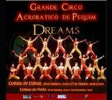 http://www.circodallas.com/grande_sinopse.jpg