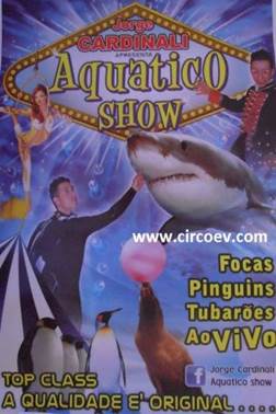 http://circoev.com/yahoo_site_admin/assets/images/993785_477847195631205_1546631895_n.16283001_std.jpg