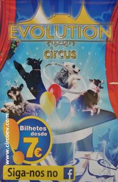 http://circoev.com/yahoo_site_admin/assets/images/DSC_0751.44121538_std.JPG