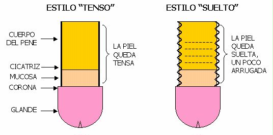 come migliorare lerezione e la potenza