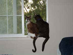 Bhumi and Bix