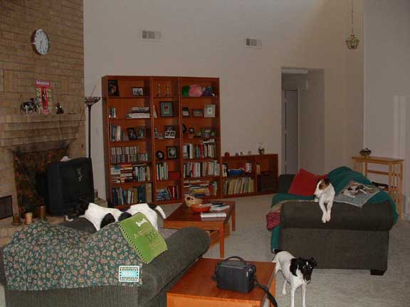 new living room