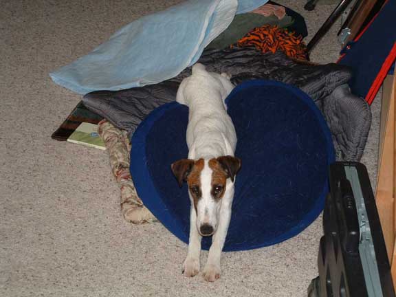 Mimi sez, moving is tiring business