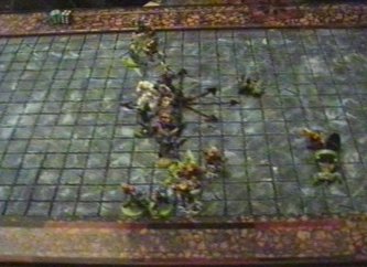 Le squadre sul nuovo Chaos Stadium