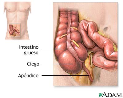 Para mayor informaci�n haga click aqu�