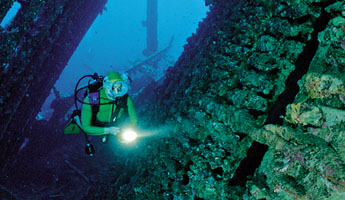 www.scubadiving.com