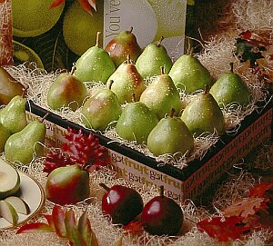 Pear Basket