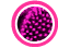 viruses icon