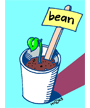 bean