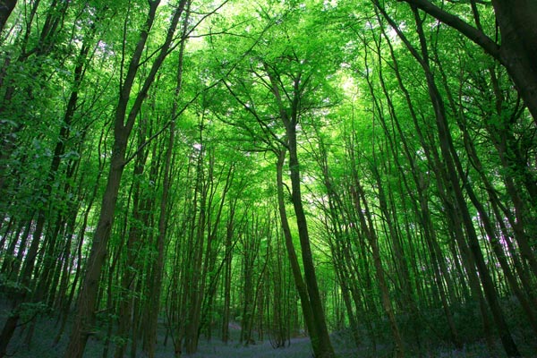 outside in nature